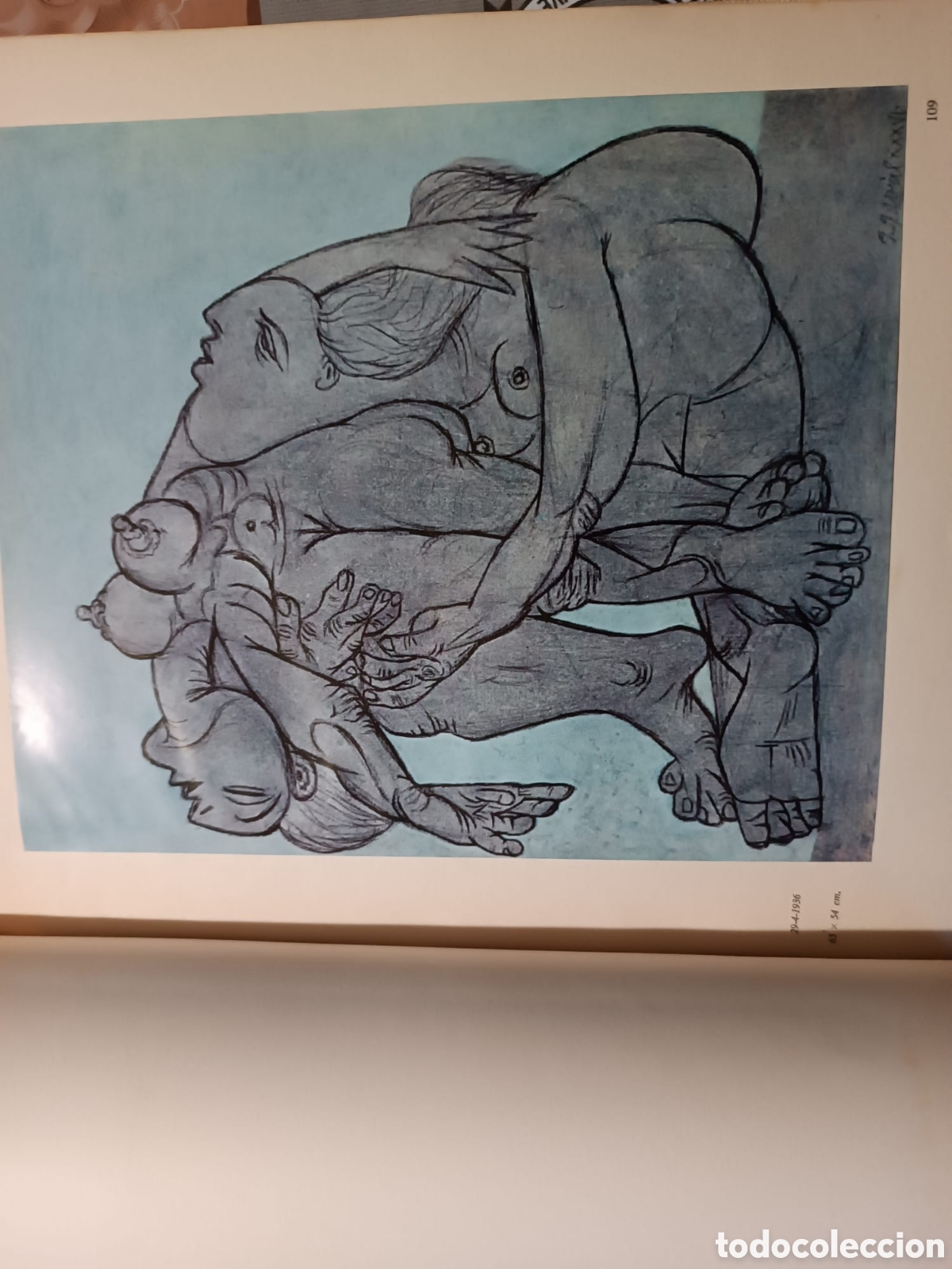 Libros: Los Picasso de Picasso - Foto 13