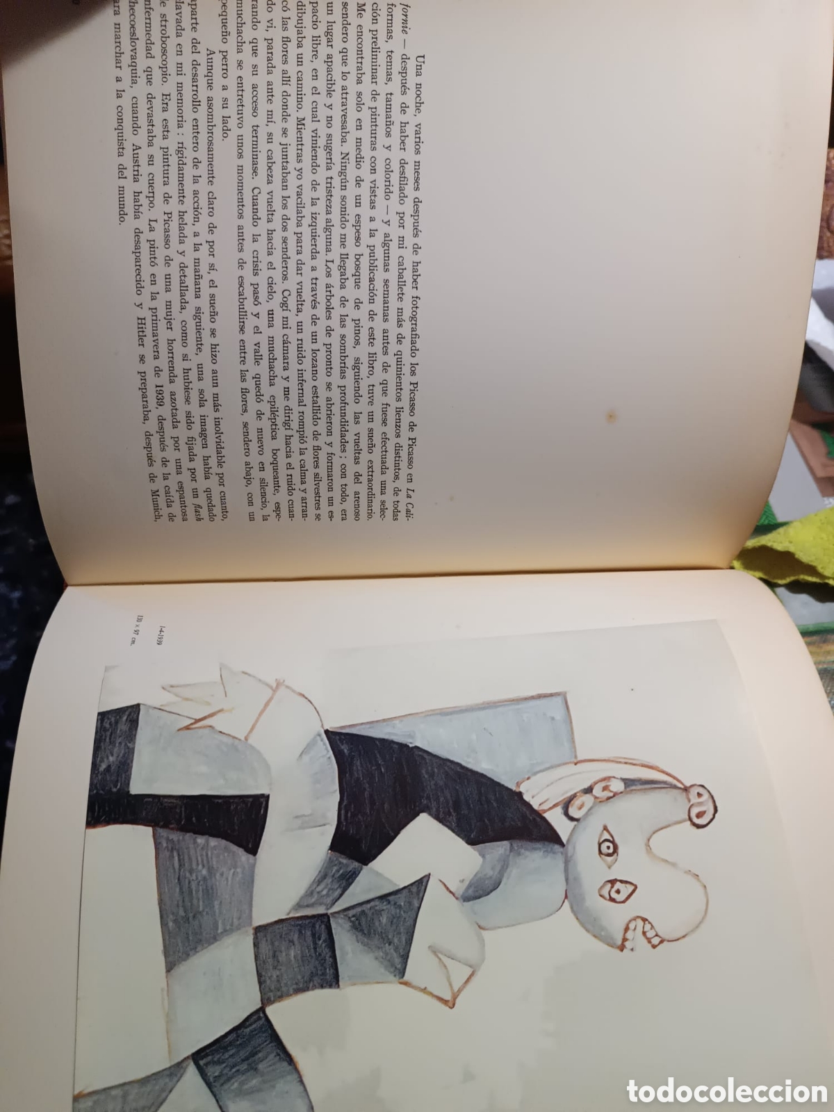 Libros: Los Picasso de Picasso - Foto 15