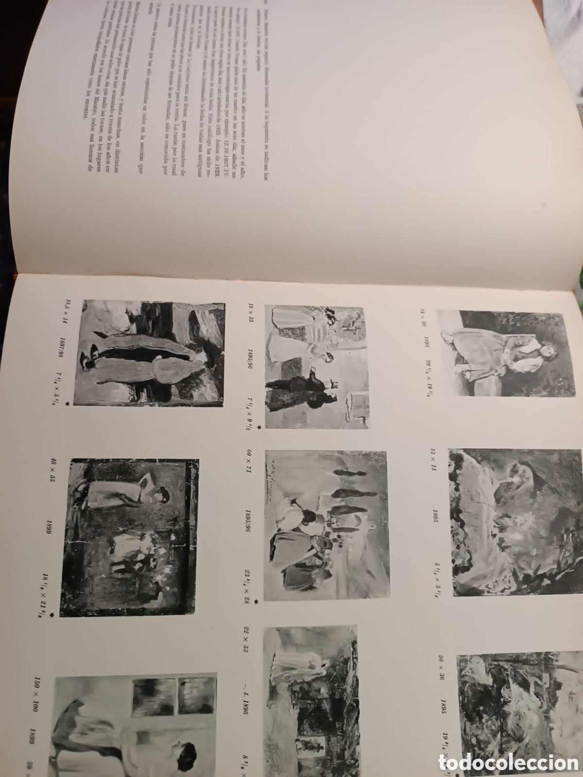 Libros: Los Picasso de Picasso - Foto 17