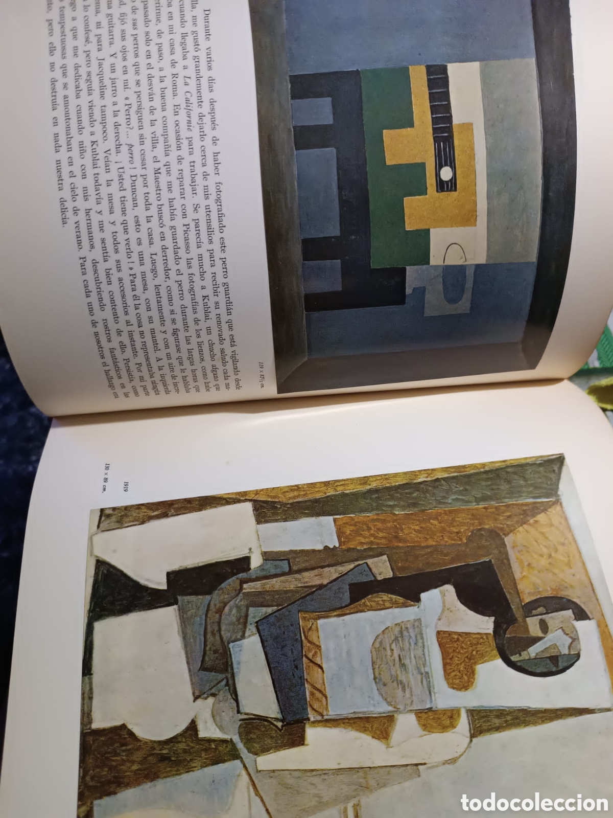 Libros: Los Picasso de Picasso - Foto 21