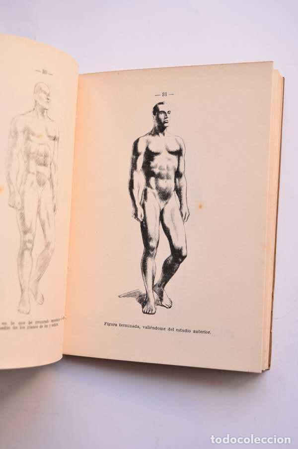 Libros: Dibujo de figura - FREIXAS, Emilio - Foto 5