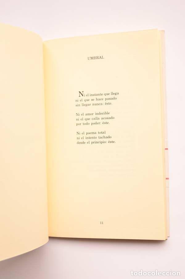 Libros: Es decir - PROVENCIO, Pedro - Foto 3