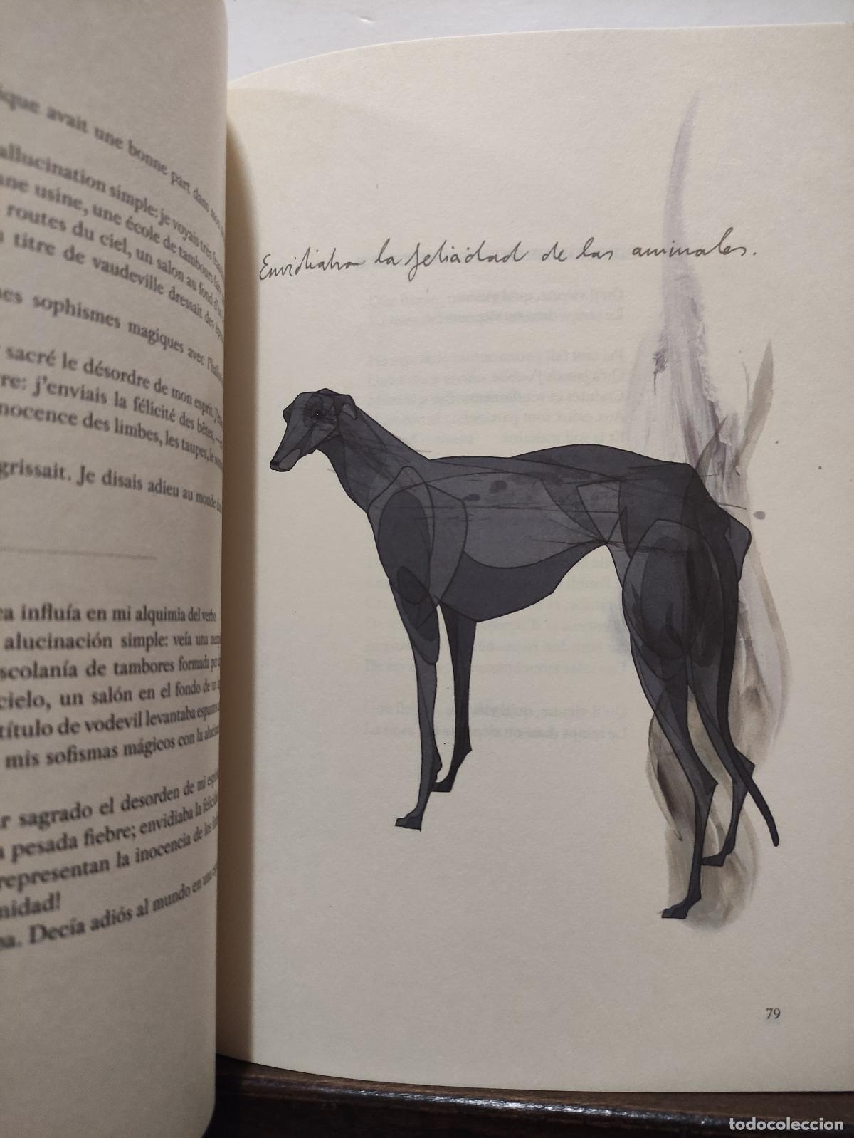Libros: UNA TEMPORADA EN EL INFIERNO - ARTHUR RIMBAUD - Foto 3