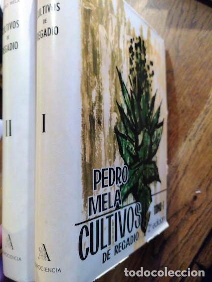 Libros: CULTIVOS DE REGAD&Iacute;O - Pedro Mela - Foto 1