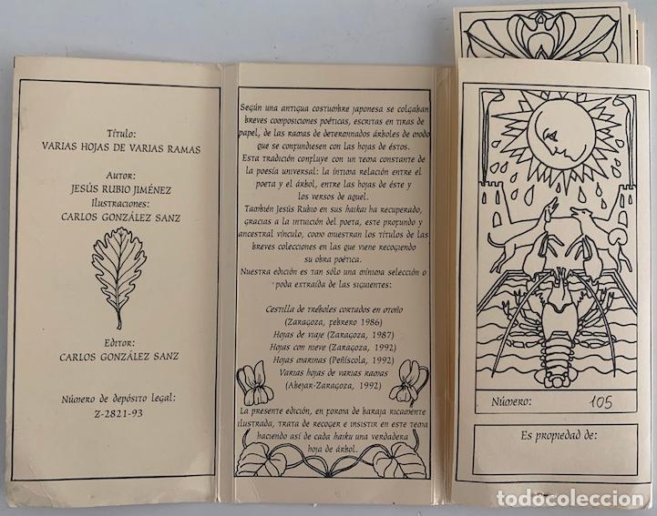 Libros: VARIAS HOJAS DE VARIAS RAMAS - Jes&uacute;s Rubio Jim&eacute;nez - Foto 1