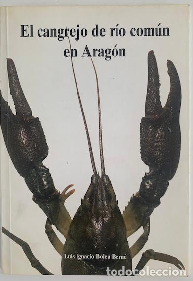 Libros: El cangrejo de r&iacute;o com&uacute;n en Arag&oacute;n - Luis Ignacio Bolea Bern&eacute; - Foto 1