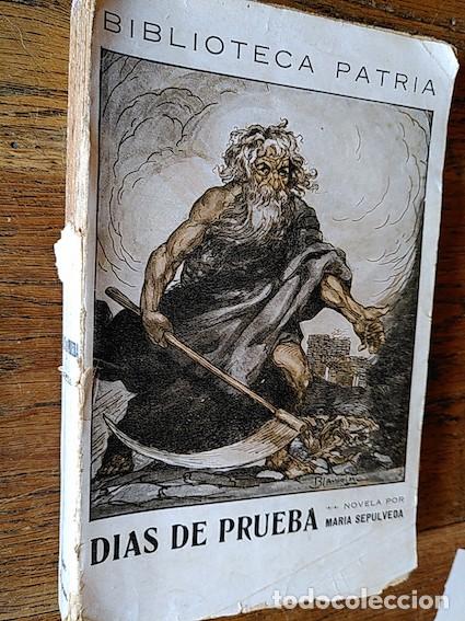 Libros: D&Iacute;AS DE PRUEBA - Mar&iacute;a Sep&uacute;lveda - Foto 1