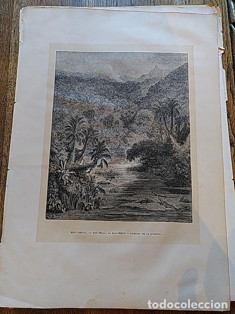 Libros: REGI&Oacute;N DE LA LUISIANA - GUSTAVO DOR&Eacute; - Foto 1