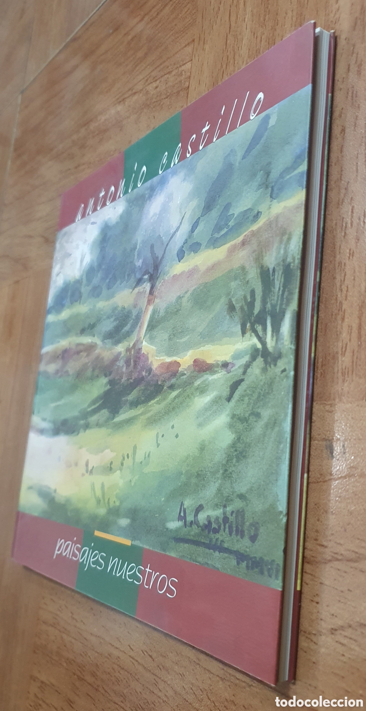 Libros: Antonio Castillo: Paisajes Nuestros - VV. AA. - Foto 2