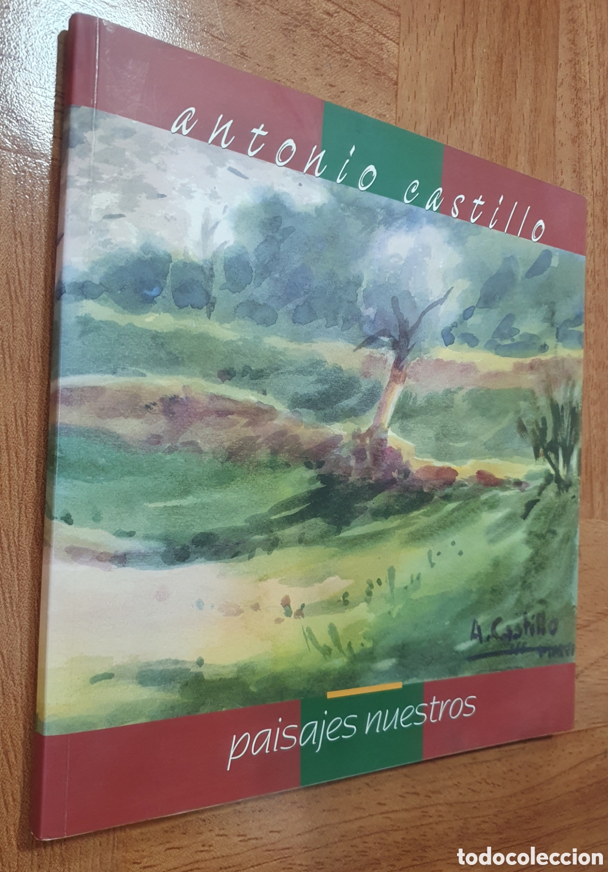 Libros: Antonio Castillo: Paisajes Nuestros - VV. AA. - Foto 1