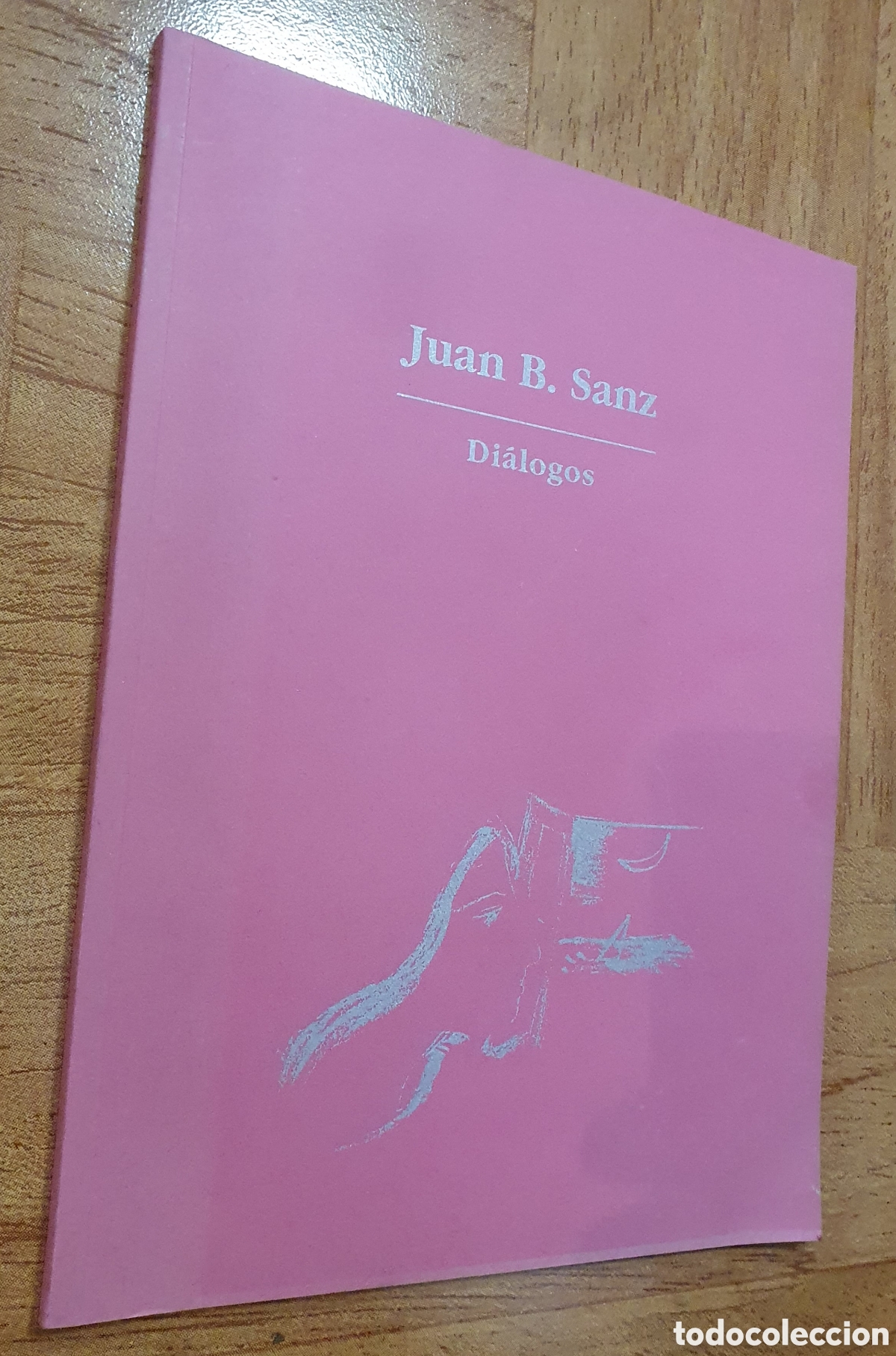 Libros: Di&aacute;logos: Juan B. Sanz - VV. AA. - Foto 1