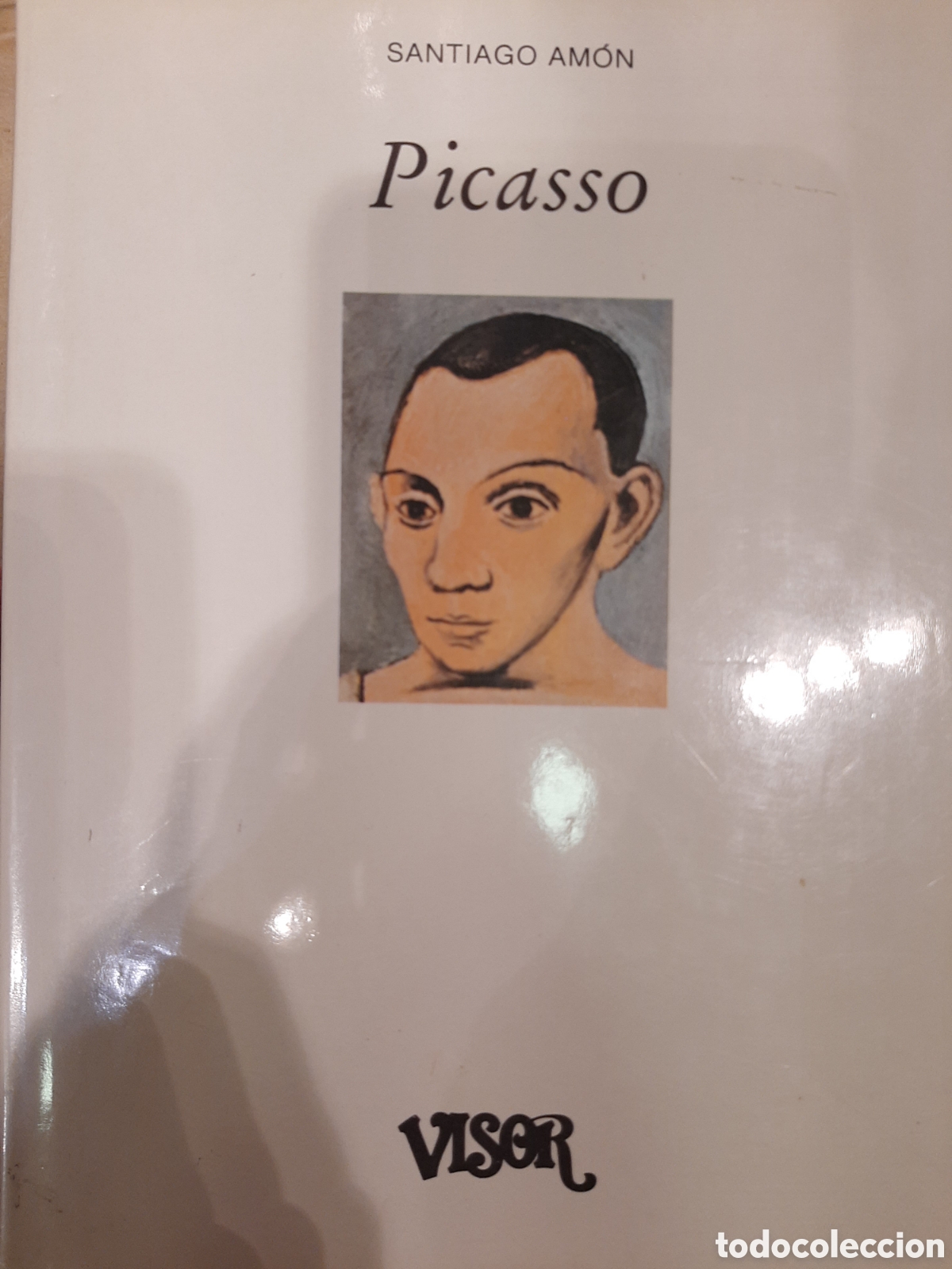 Libros: PICASSO - SANTIAGO AMON - Foto 1