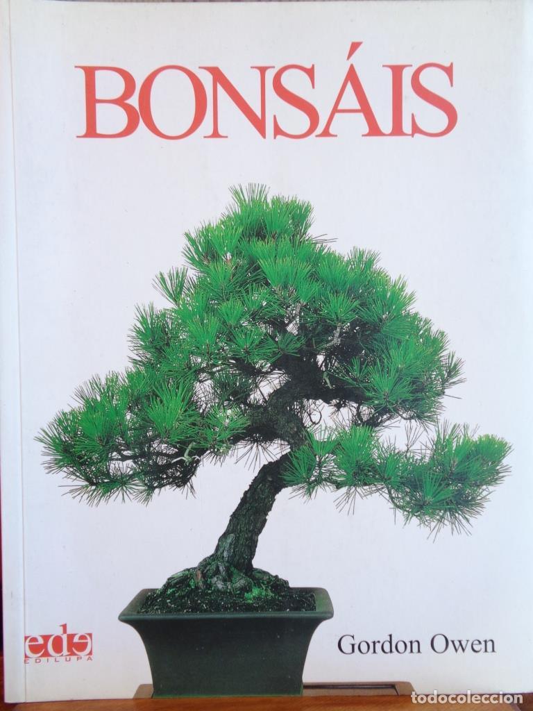 Libros: BONS&Aacute;IS - GORDON OWEN - Foto 1