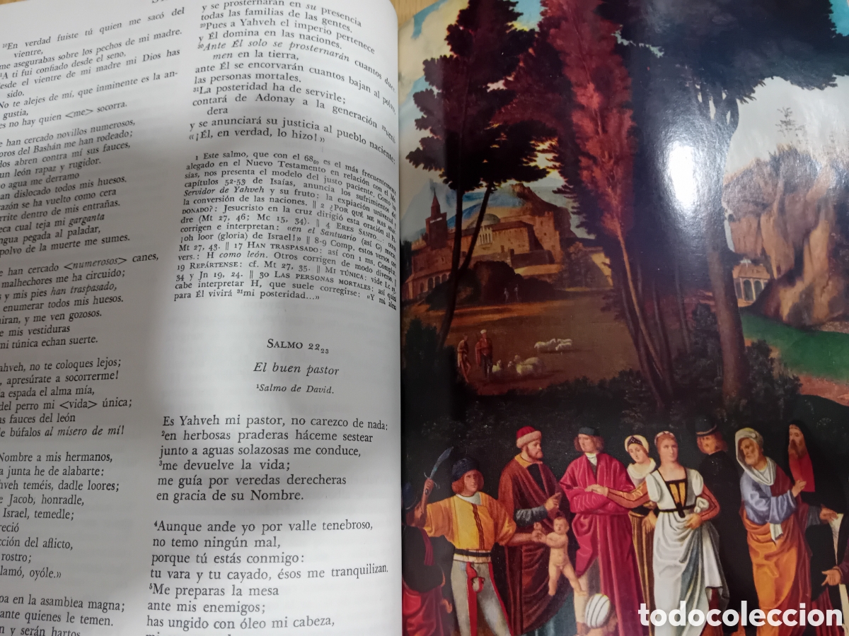 Libros: La Santa Biblia - VV.AA - Foto 4