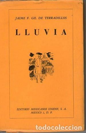 Libros: LLUVIA - Gil de Terradillos, Jaime F. - Foto 1