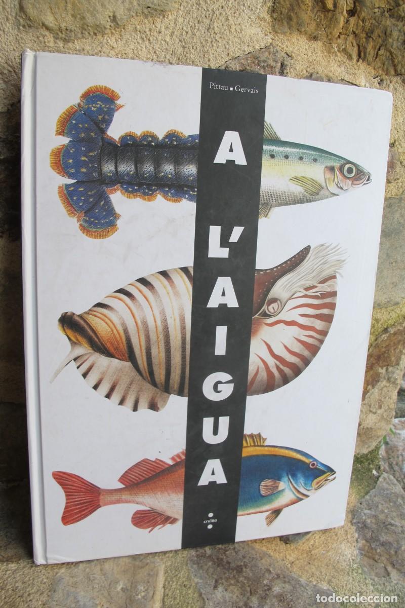 Libros: A L'AIGUA. PITTAU. GERVAIS. LLIBRE DESPLEGABLE