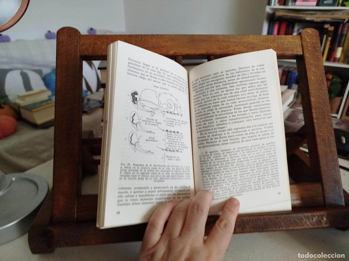 Libros: La vida de las abejas - Frisch, karl von - Foto 5