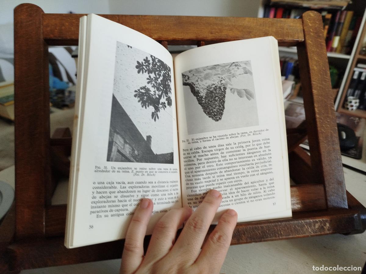Libros: La vida de las abejas - Frisch, karl von - Foto 6