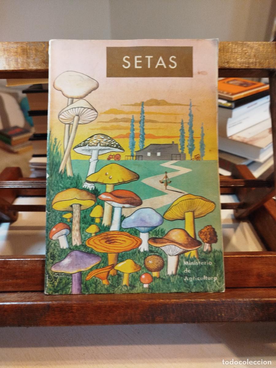 Libros: Setas - Perala Santolaria, Jos&eacute; Manuel - Foto 1