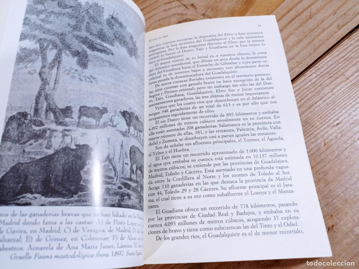 Libros: 1995 - RAM&Oacute;N BARGA. El toro de lidia - Foto 3