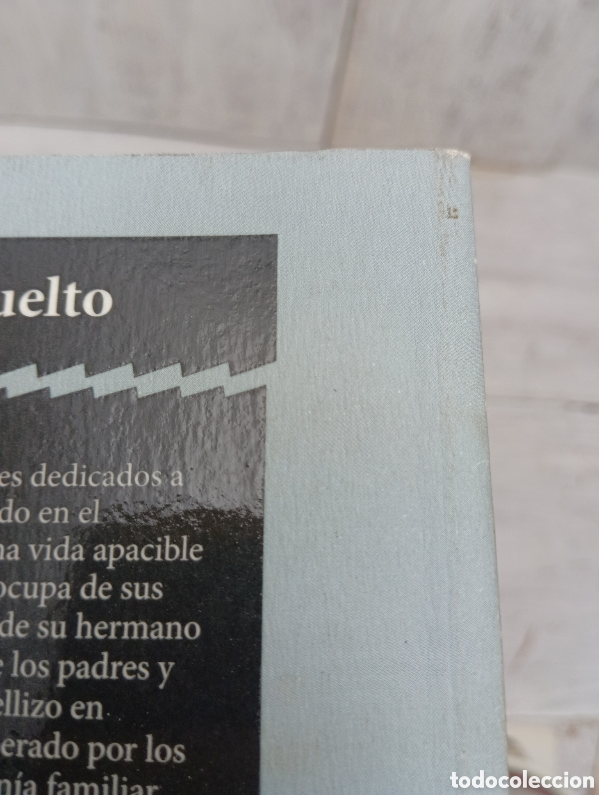 Libros: LIBRO PATRICK HA VUELTO. JOSEPHINE TEY. - Foto 12