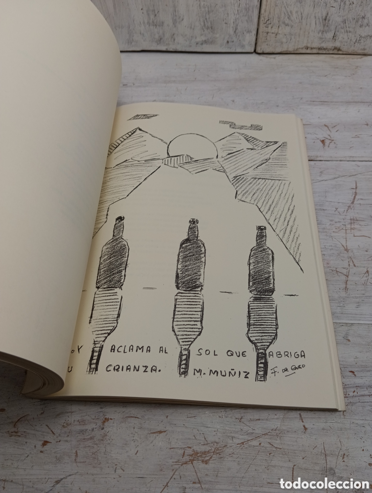 Libros: SONETOS DE LA SIDRA. MAURO MU&Ntilde;IZ. - Foto 11