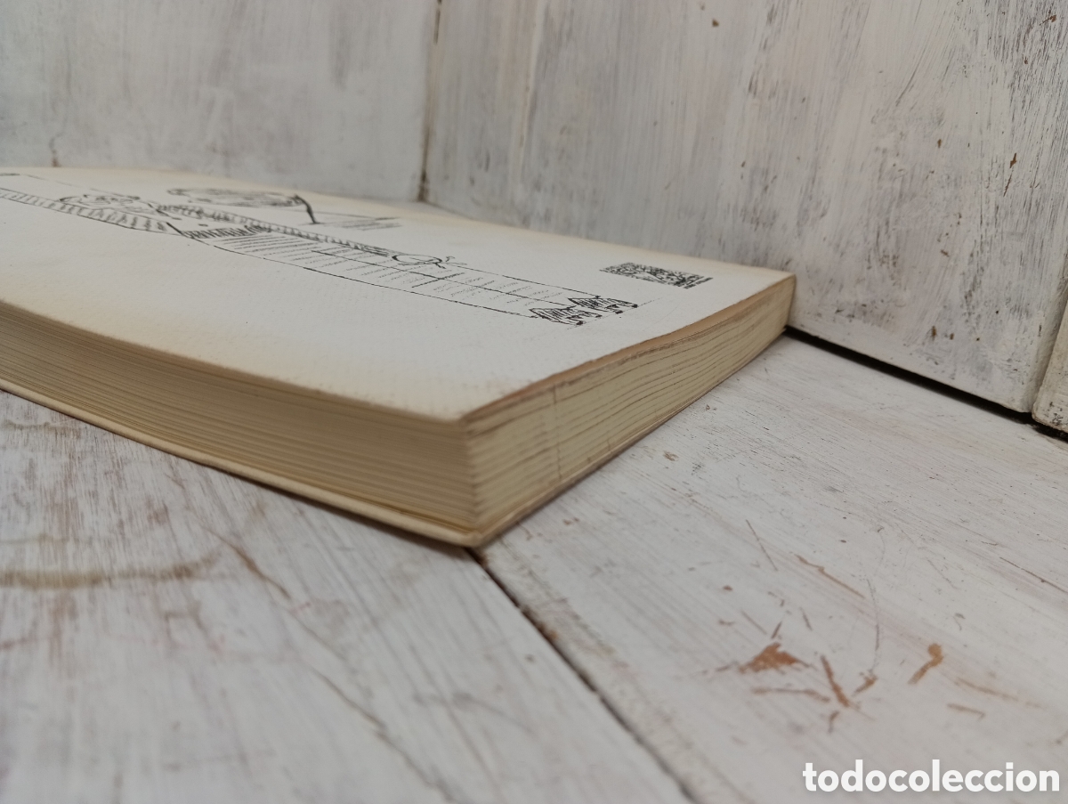 Libros: SONETOS DE LA SIDRA. MAURO MU&Ntilde;IZ. - Foto 18