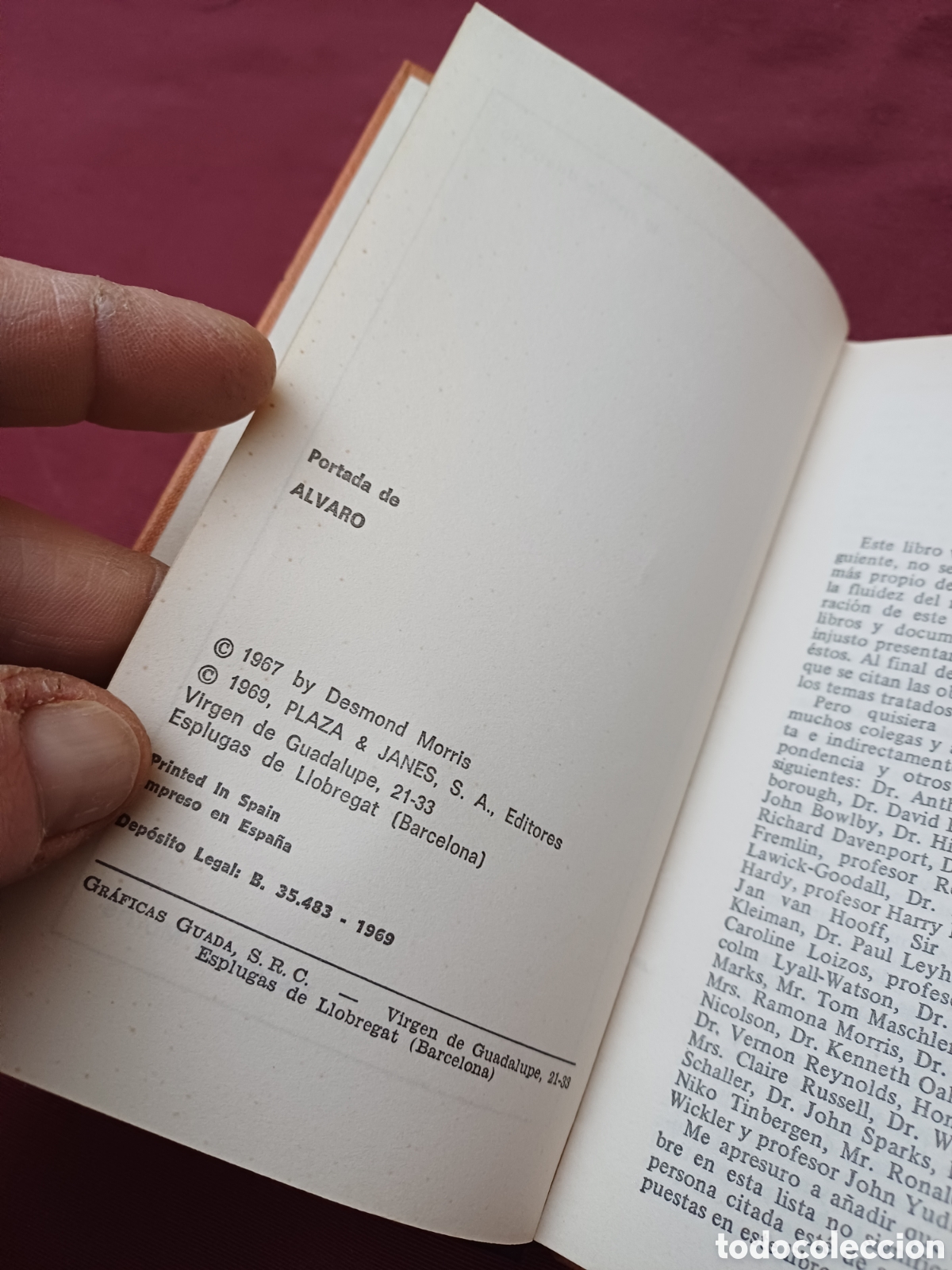 Libros: LIBRO, EL MONO DESNUDO, 1969 - Foto 5