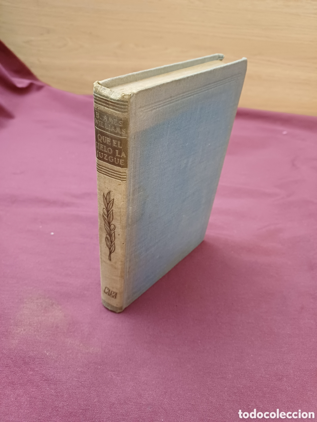 Libros: LIBRO, QUE EL CIELO LA JUZGUE, COLECCI&Oacute;N HORIZONTE, 1951 - Foto 1