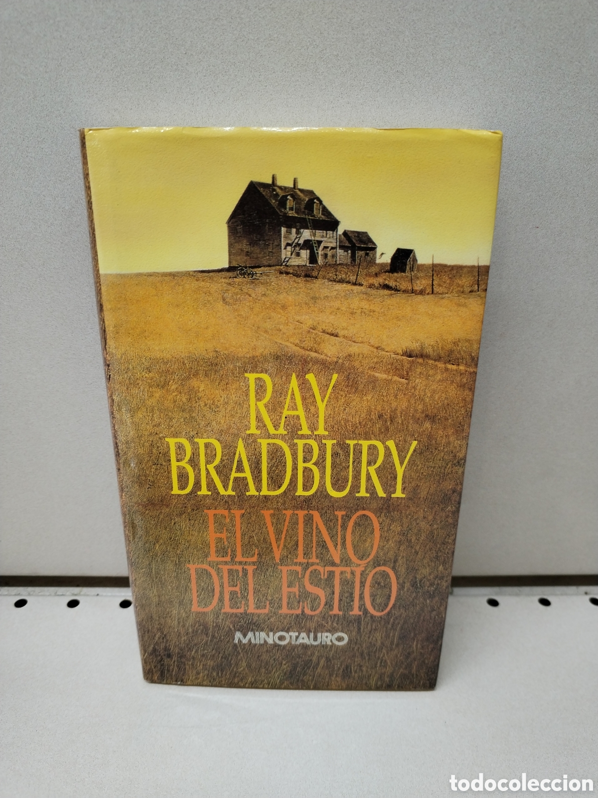 Libros: El Vino Del Estio - Bradbury, Ray - Foto 1