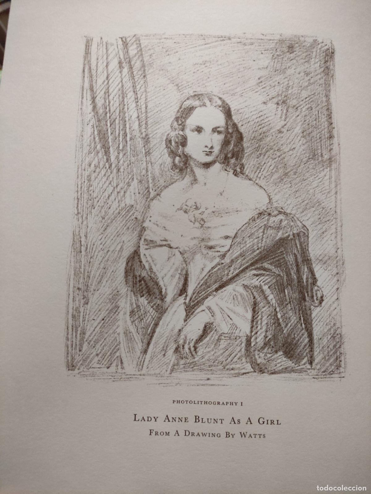 Libros: THE AUTHENTIC ARABIAN HORSE - LADY WENTWORTH - Foto 7