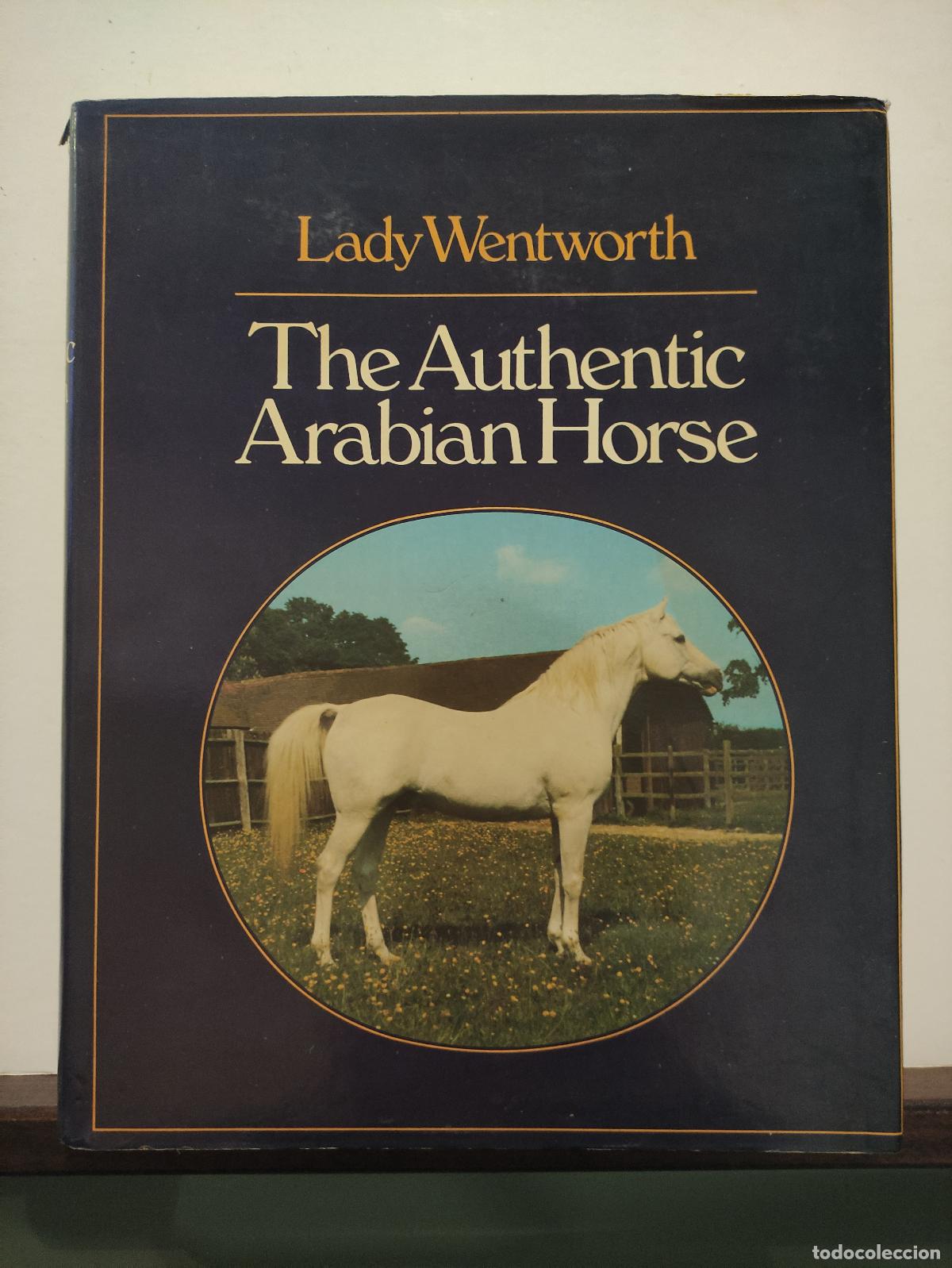 Libros: THE AUTHENTIC ARABIAN HORSE - LADY WENTWORTH - Foto 1