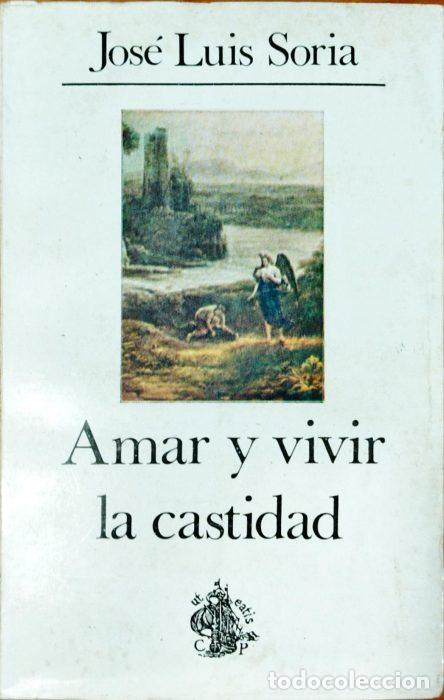 Libros: Amar y vivir la castidad - SORA, JOSE LUIS - Foto 1