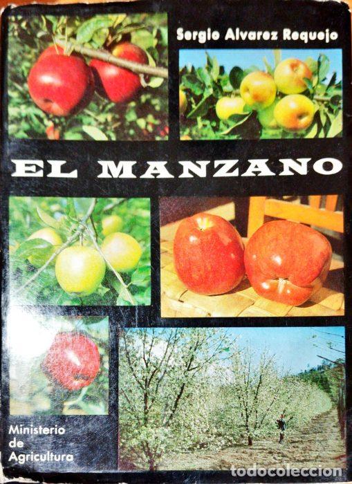 Libros: El manzano - &Aacute;LVAREZ REQUEJO, SEGIO - Foto 1