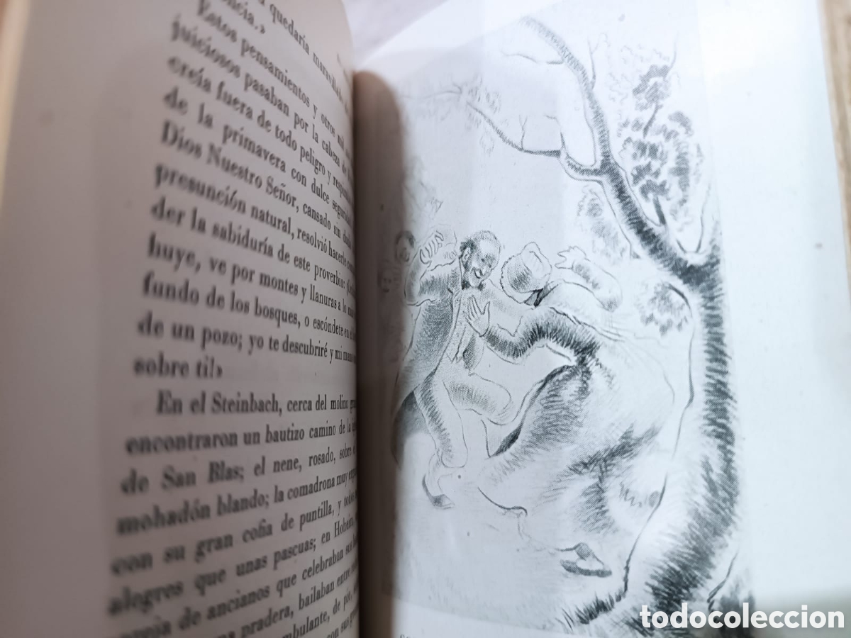 Libros: El Amigo Fritz, Erckmann Chatrian - Foto 6
