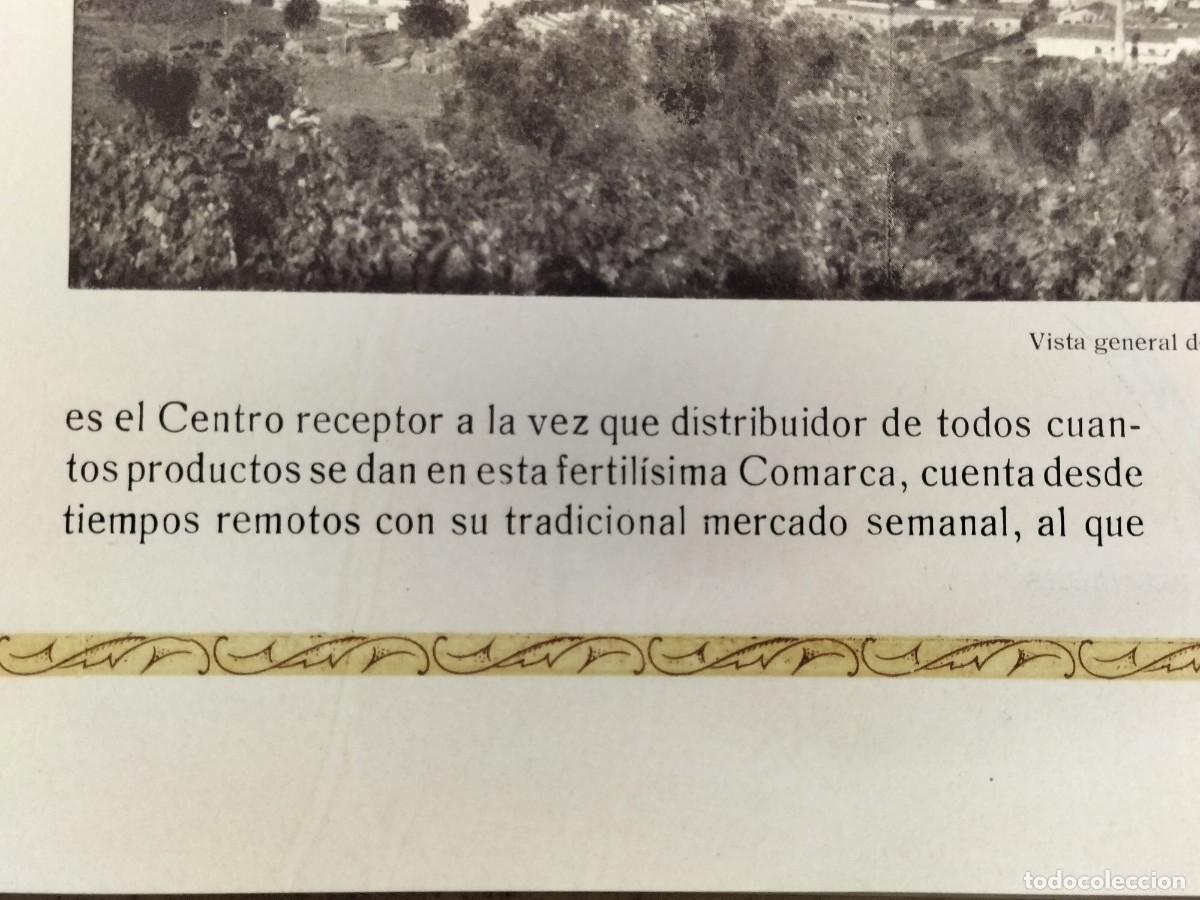 Libros: Concurso Comarcal de Ganados del Vall&eacute;s - Granollers, Junio 1943 - Foto 11