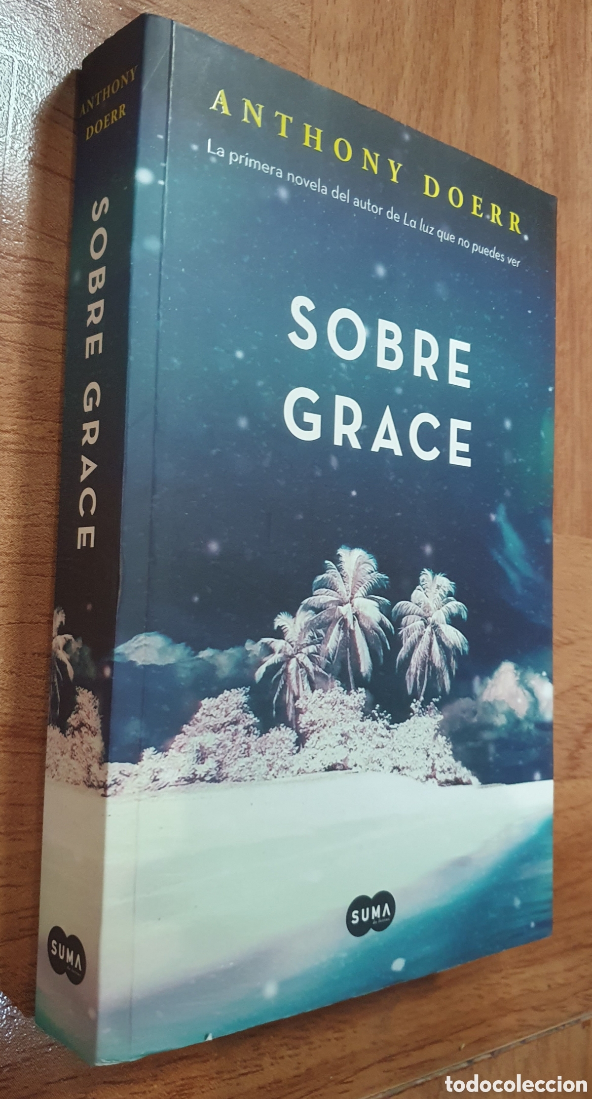 Libros: Sobre Grace - Anthony Doerr - Foto 1