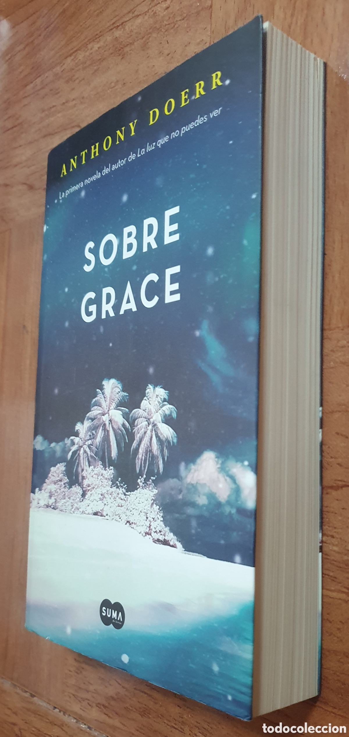 Libros: Sobre Grace - Anthony Doerr - Foto 2