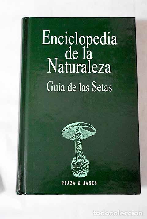 Libros: Setas: Grunert, Helmut.- Grunert, Helmut - Foto 1