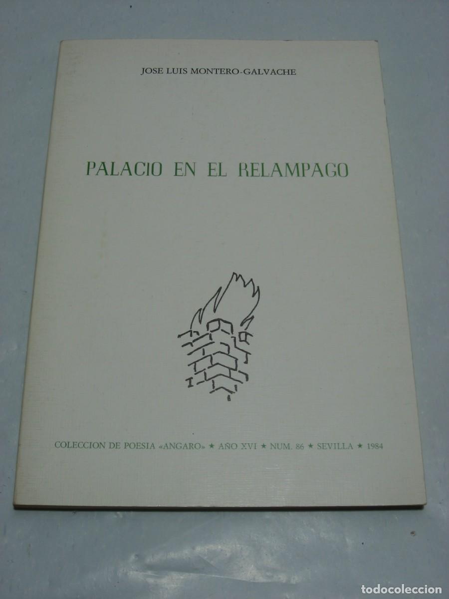 Libros: PALACIO EN EL RELAMPAGO - Jos&eacute; Luis Montero-Galvache - Foto 1