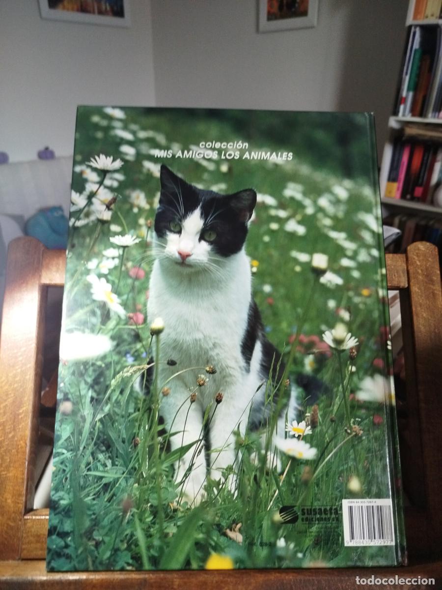 Libros: Gatos. Ediciones Susaeta. 1991 - Howard, Tom - Foto 2