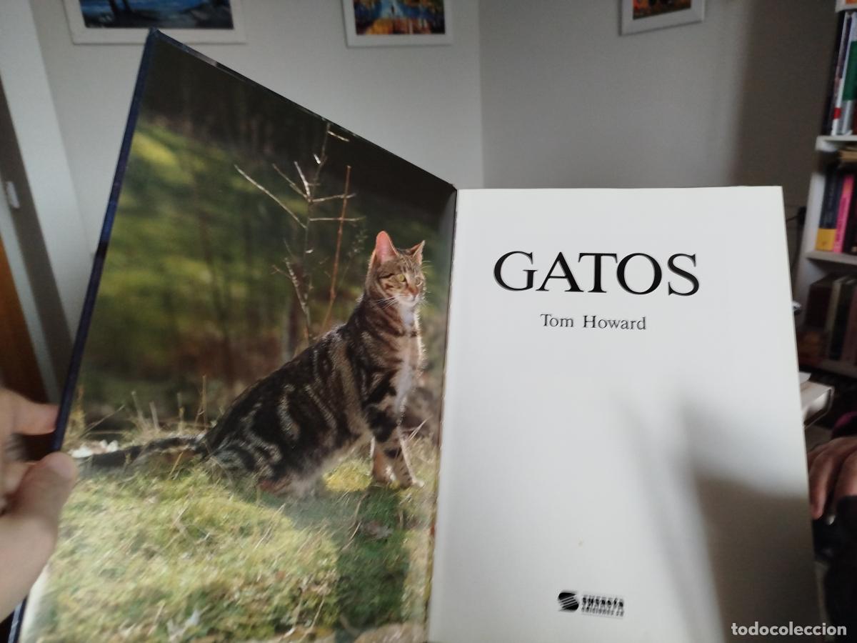 Libros: Gatos. Ediciones Susaeta. 1991 - Howard, Tom - Foto 3