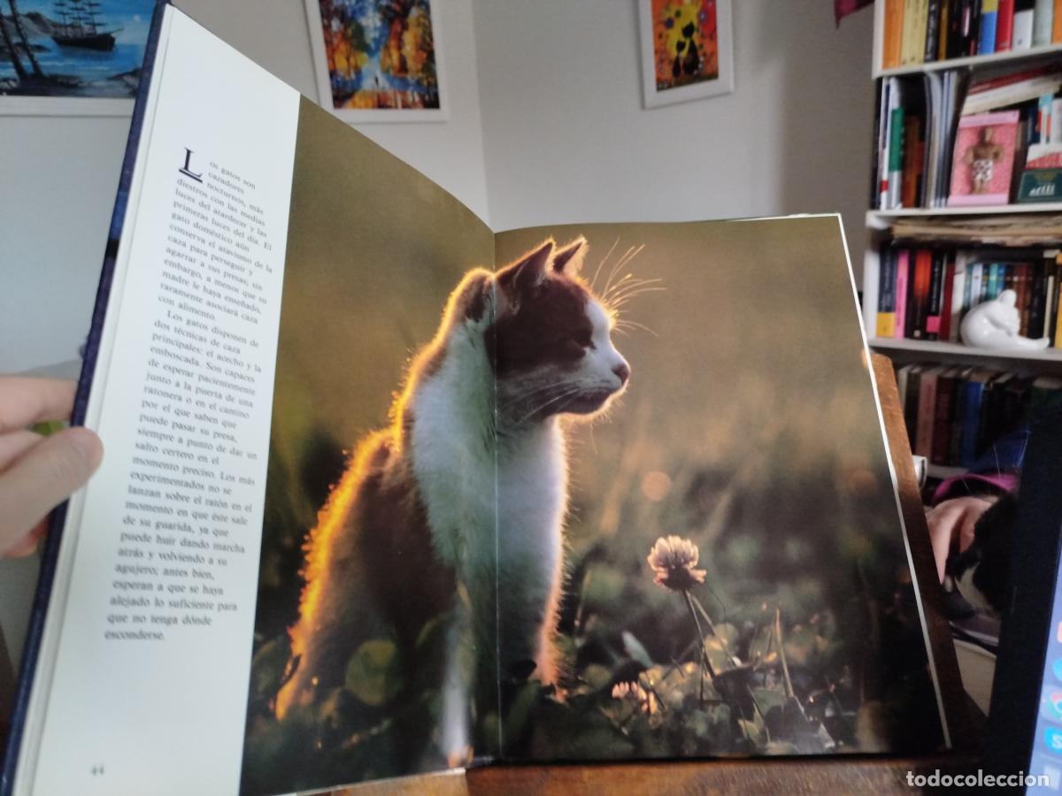 Libros: Gatos. Ediciones Susaeta. 1991 - Howard, Tom - Foto 4