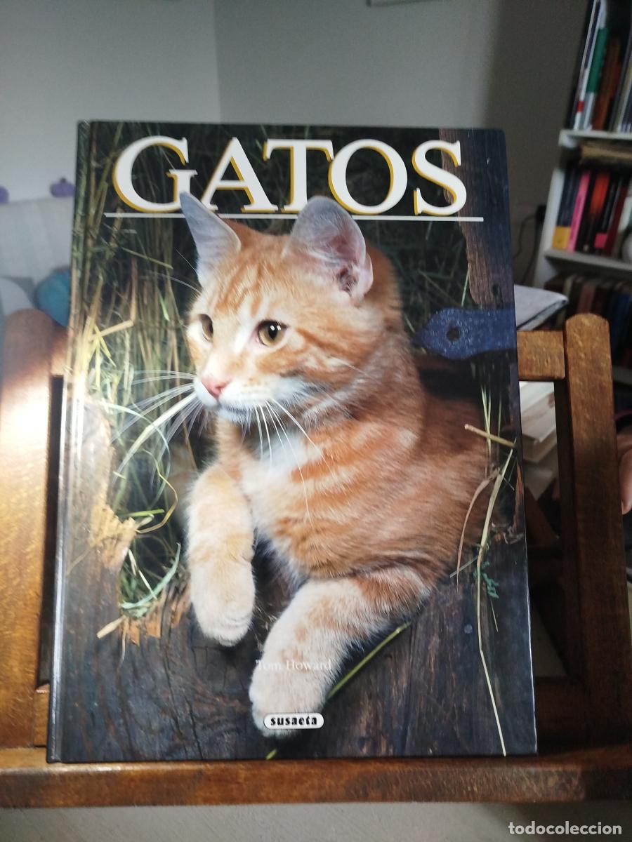 Libros: Gatos. Ediciones Susaeta. 1991 - Howard, Tom - Foto 1