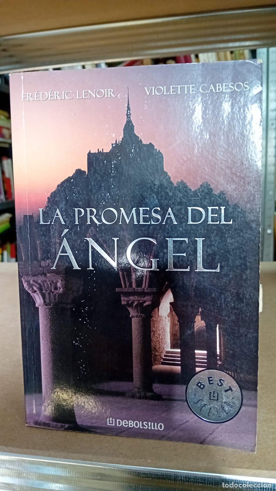 Libros: La promesa del &aacute;ngel - Fr&eacute;d&eacute;ric Lenoir - Foto 1