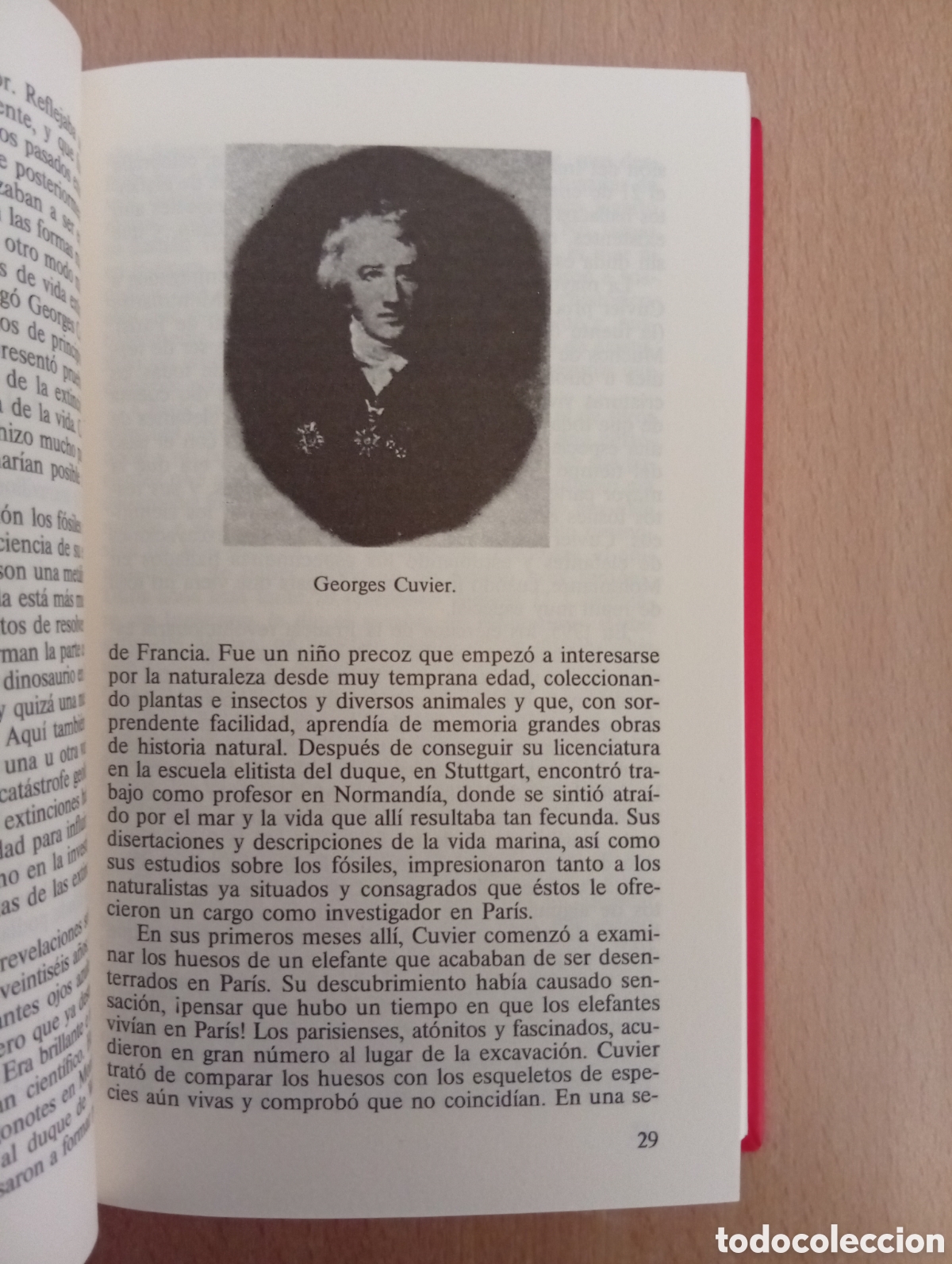 Libros: EL ENIGMA DE LOS DINOSAURIOS. J.N. Wilford - Foto 11