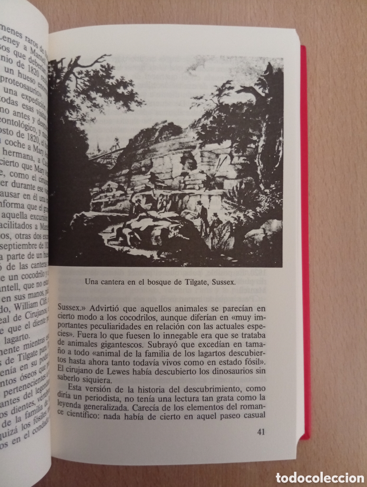 Libros: EL ENIGMA DE LOS DINOSAURIOS. J.N. Wilford - Foto 12