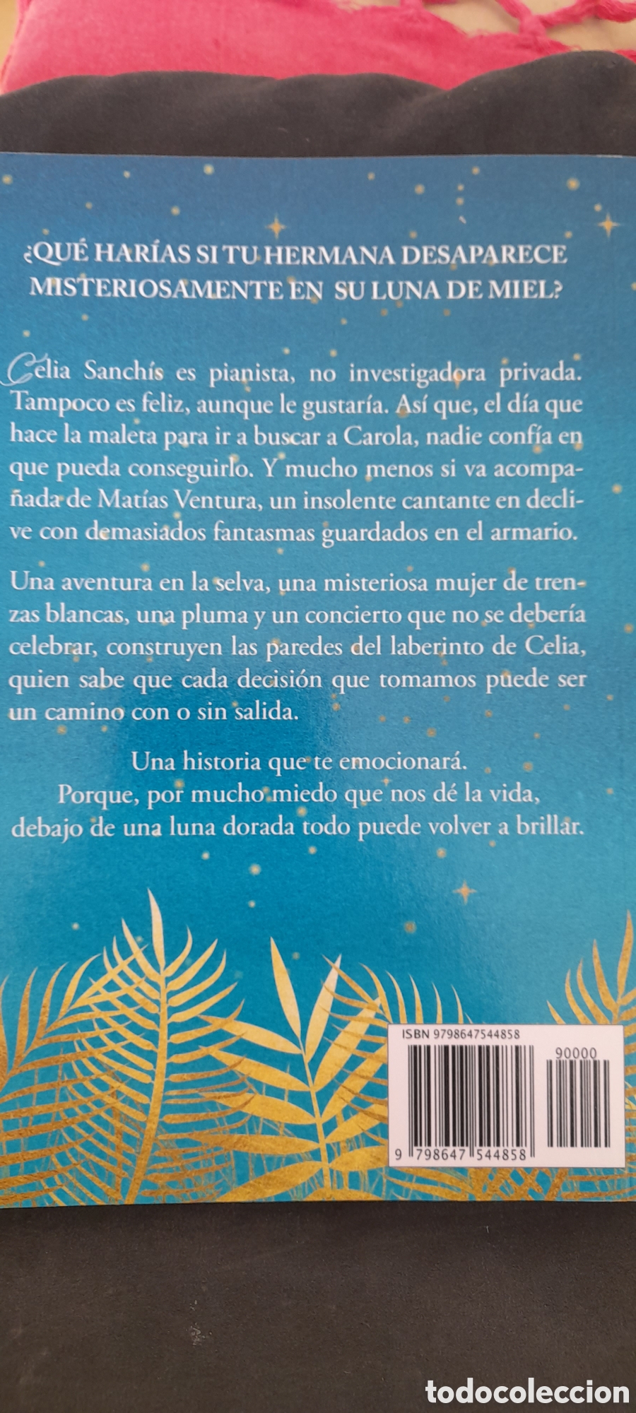 Libros: El laberinto de Celia. Idoia Saralegui San Sebasti&aacute;n - Foto 2