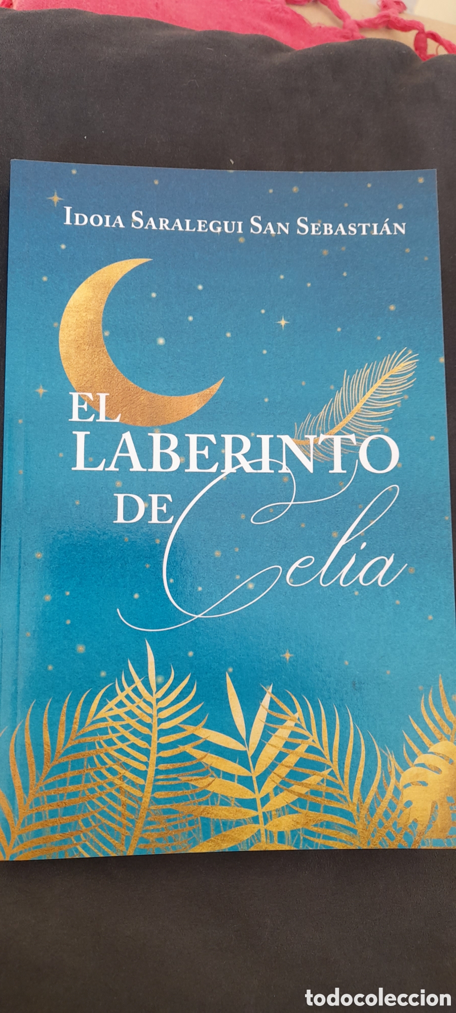 Libros: El laberinto de Celia. Idoia Saralegui San Sebasti&aacute;n - Foto 1