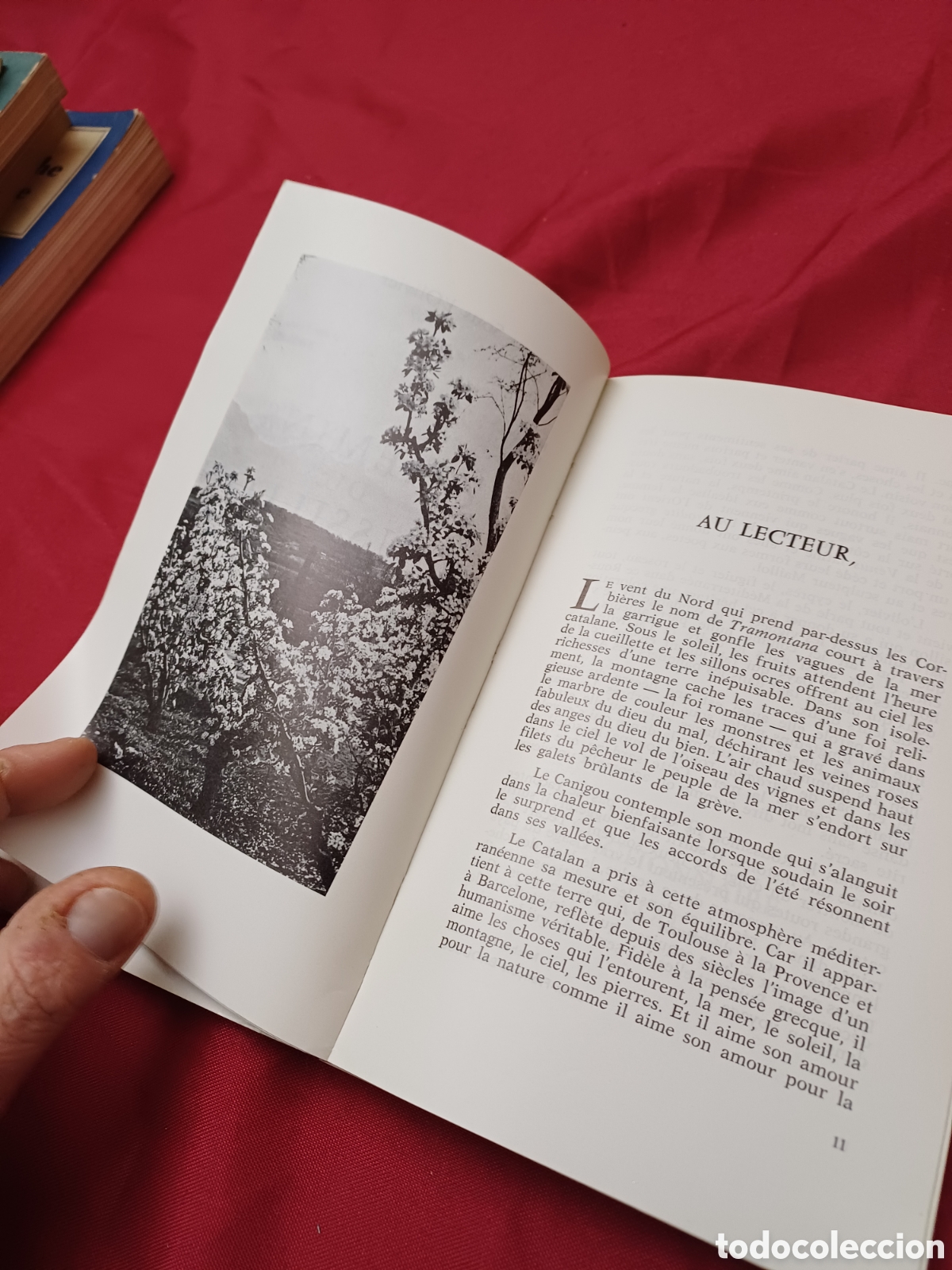 Libros: LIBRO, CHEMINS DU ROUSSILLON, A&Ntilde;OS 60, EN FRANC&Eacute;S - Foto 8